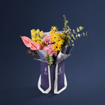 Manet's Morning Light