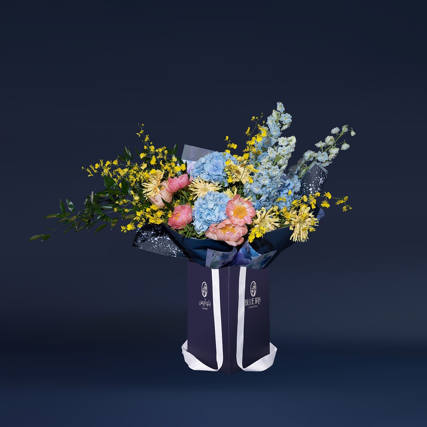 Summer Collection