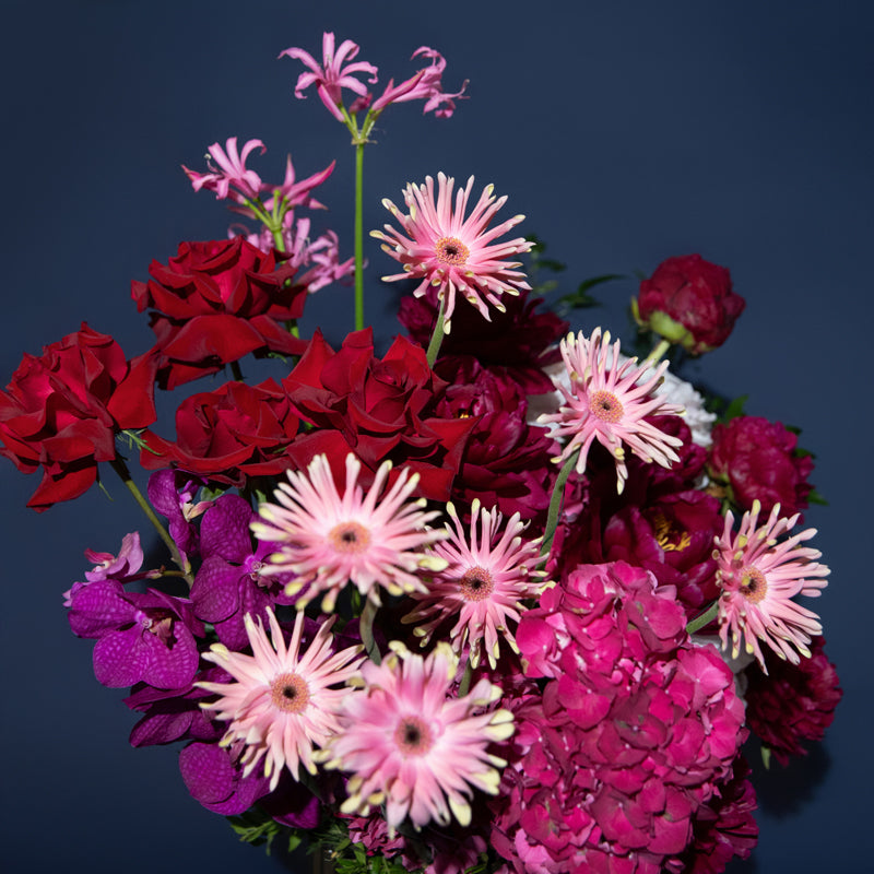 Brush & Bloom